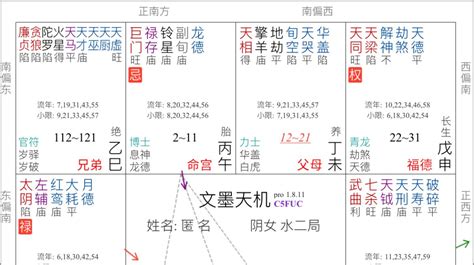 石中隱玉格|巨門在子午坐命：稱為「石中隱玉」格